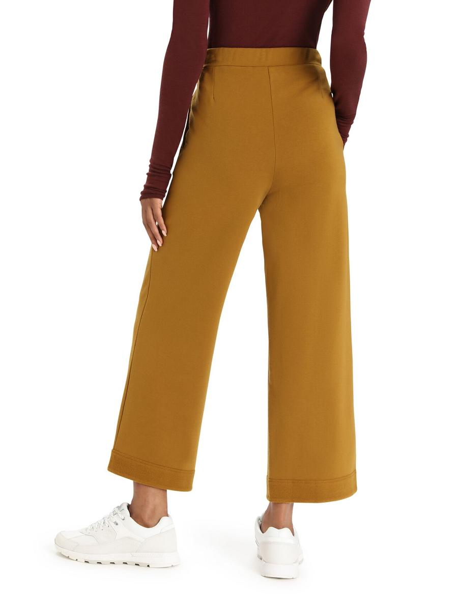 Pantalon Icebreaker RealFleece™ Merino Dalston Larges Femme Marron | FR 1517UZGT